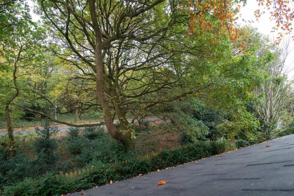 Villa Luxury Coach House Next To Woodland In Knutsford Extérieur photo